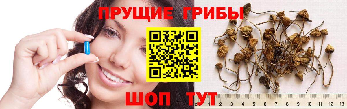 Вичуга  где можно купить   Вход с VPN  Галлюциногенные грибы ЛСД 